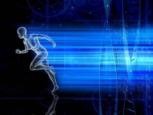 Human Motion Prediction